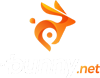 BunnyNet CDN Boonika Network